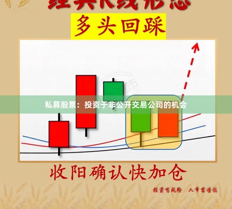 私募股票：投资于非公开交易公司的机会