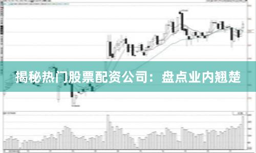 揭秘热门股票配资公司：盘点业内翘楚