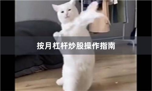 按月杠杆炒股操作指南