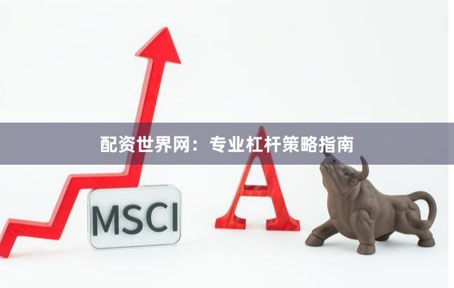 配资世界网：专业杠杆策略指南