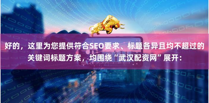 好的，这里为您提供符合SEO要求、标题各异且均不超过的关键词标题方案，均围绕“武汉配资网”展开：